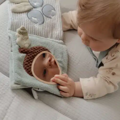 livre d activites renard