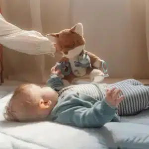 peluche activites renard ittle dutch