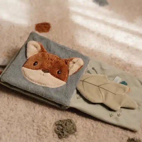 renard livre little dutch