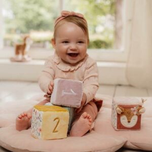 cubes fairy garden little dutch